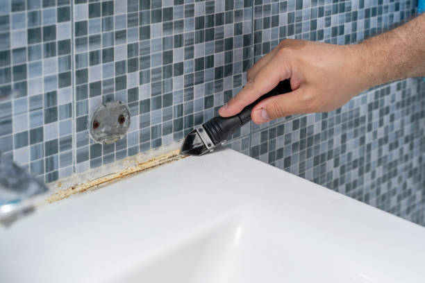 Home Mold Removal in Bridgeport, TX