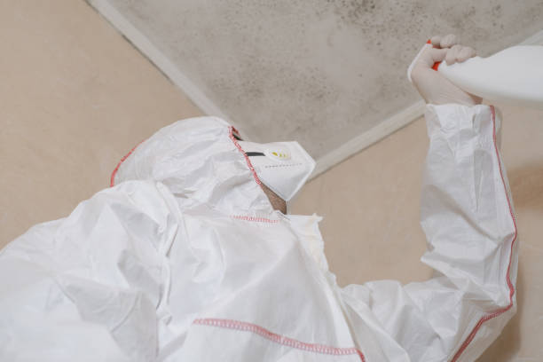 Best Office Mold Removal Services  in Bridgeport, TX